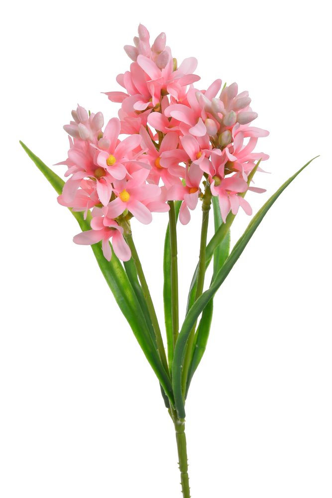 Jarní květiny do bytu